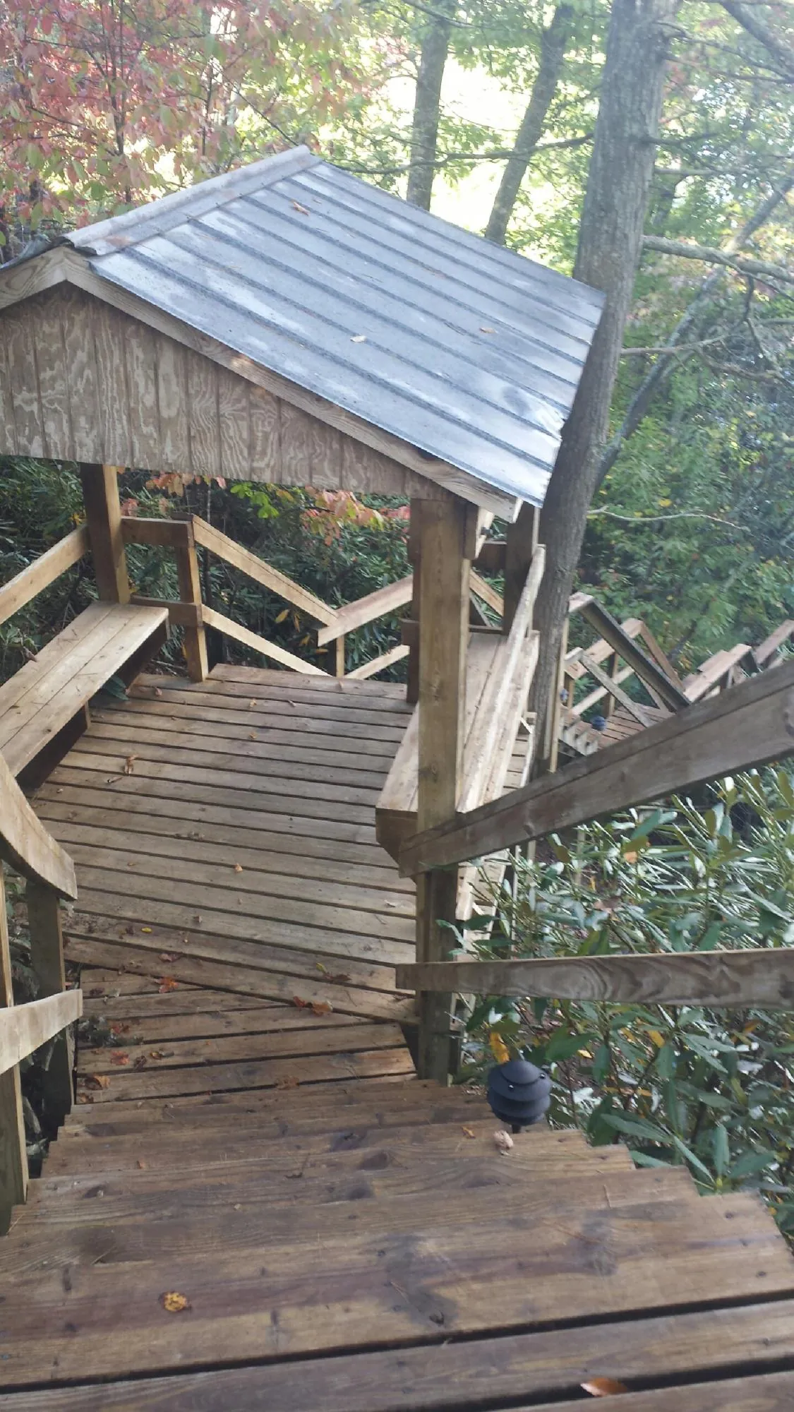 Metal roofed shelter over wooden steps on a wooded walkway — Skylight Repair & Installation work by our crew in Rolesville